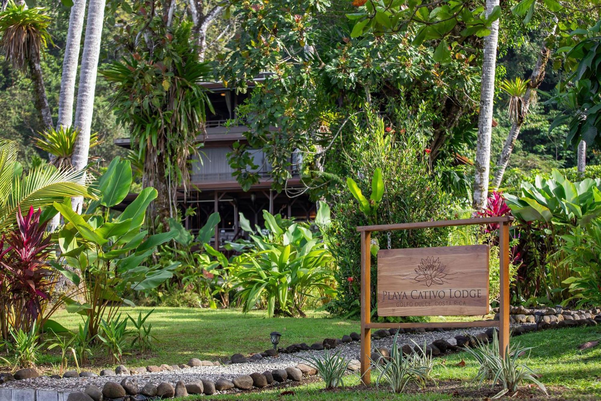 Playa Cativo Lodge Esquinas Exterior photo